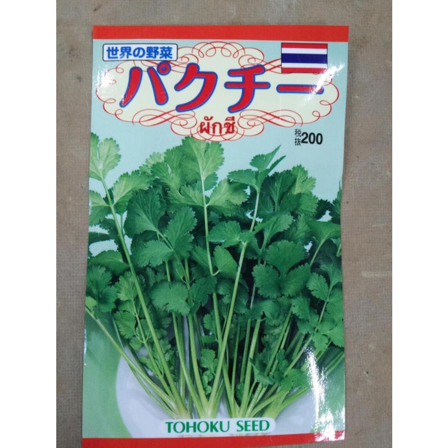大人の上質 野菜の種 パクチー コリアンダー 4袋まで送料73円 大人の上質 野菜の種 パクチー コリアンダー 4袋まで送料73円