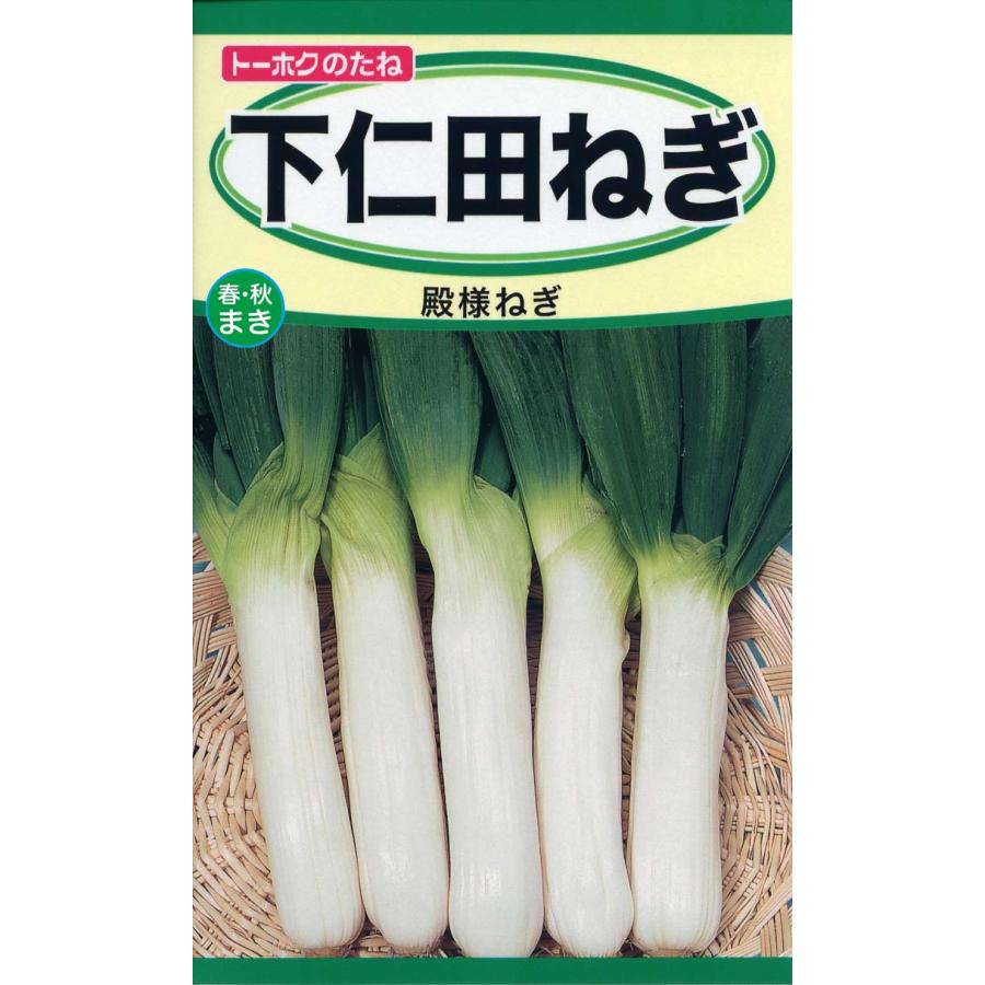 野菜の種 ネギ 万能小ねぎ スリム ４袋まで送料７３円 Sale 98 Off