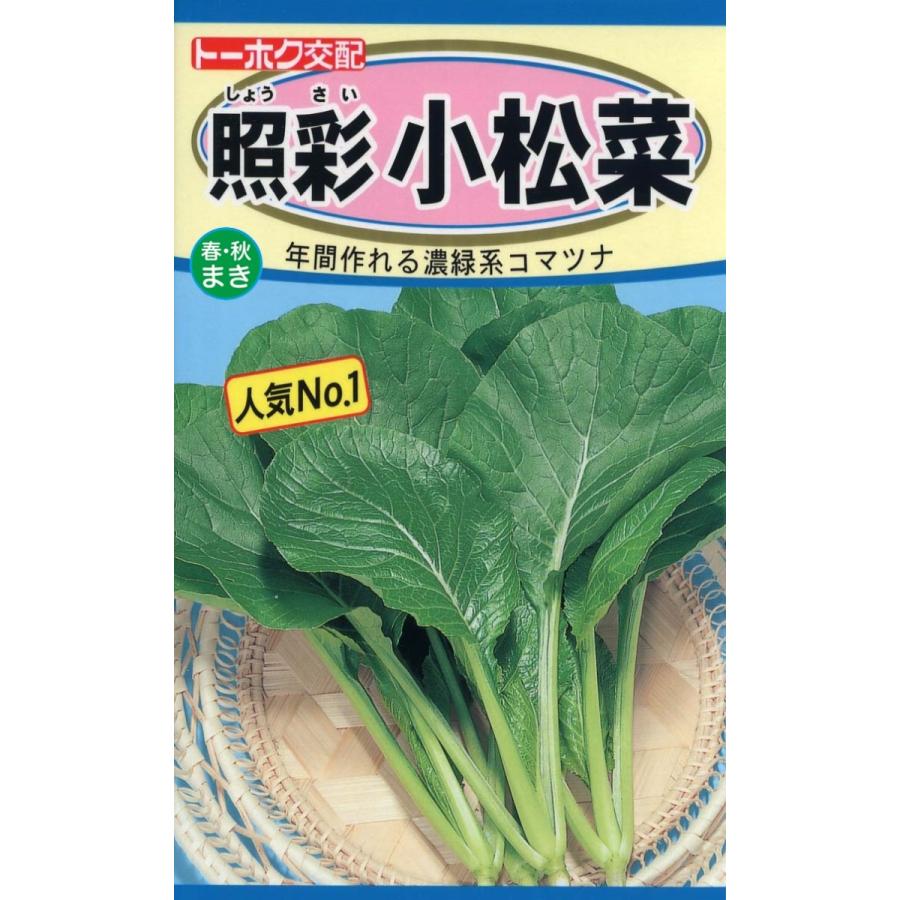 野菜の種 小松菜 2袋まで送料73円 優良配送はクリップポストで送料