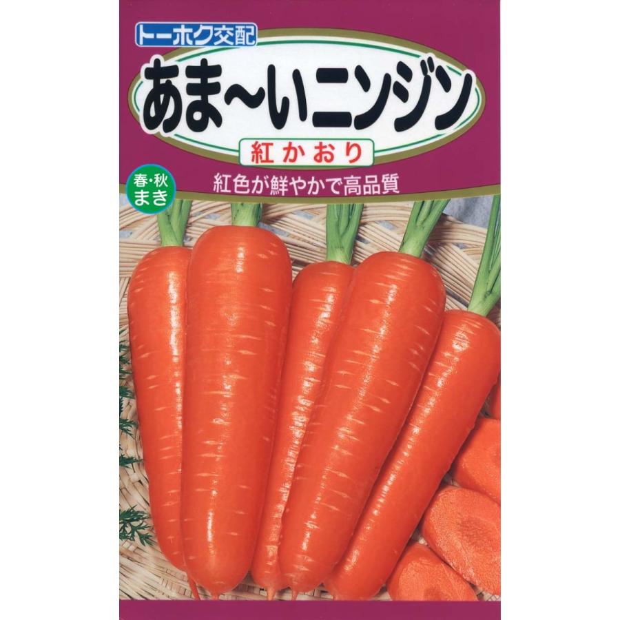 野菜の種 人参 紅かおり ４袋まで送料７３円 優良配送はクリップポストで送料185円