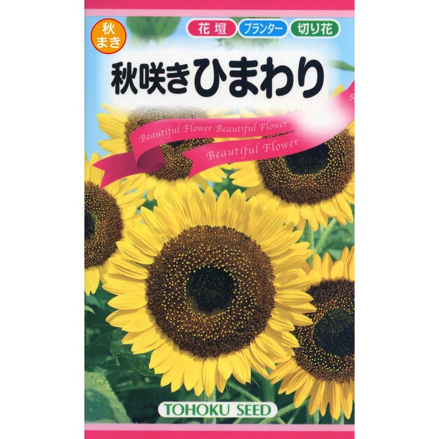 花の種 秋咲きひまわり 4袋まで送料73円 優良配送はクリップポス ト