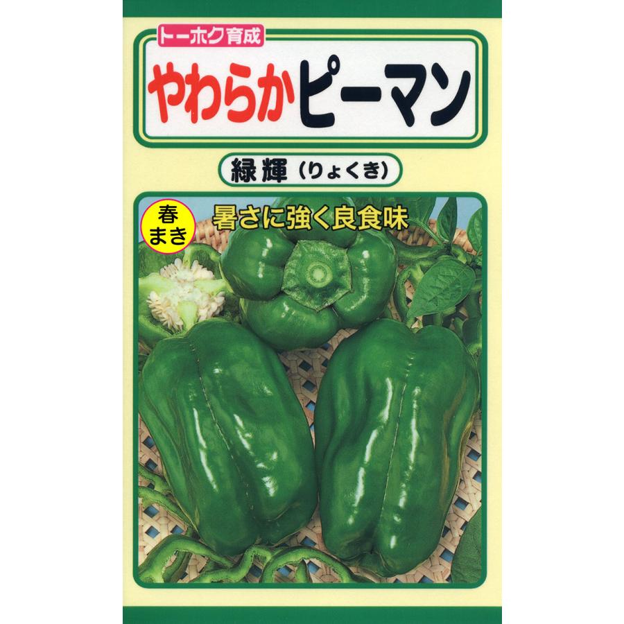 柔らかピーマン 緑輝 暑さに強く良食味 4袋まで送料73円 優良配送は