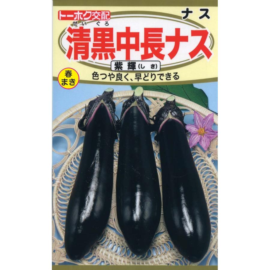 なす 柏崎地場特産品「つららなす」／柏崎市公式ホームページ