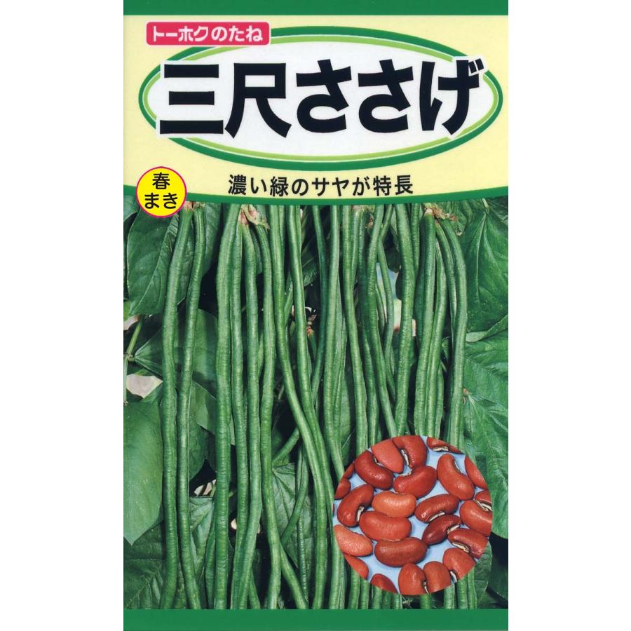 自宅栽培　ささげ　9kg 野菜の種 三尺ささげ 暑さに強い 優良配送のクリップポストで9個まで