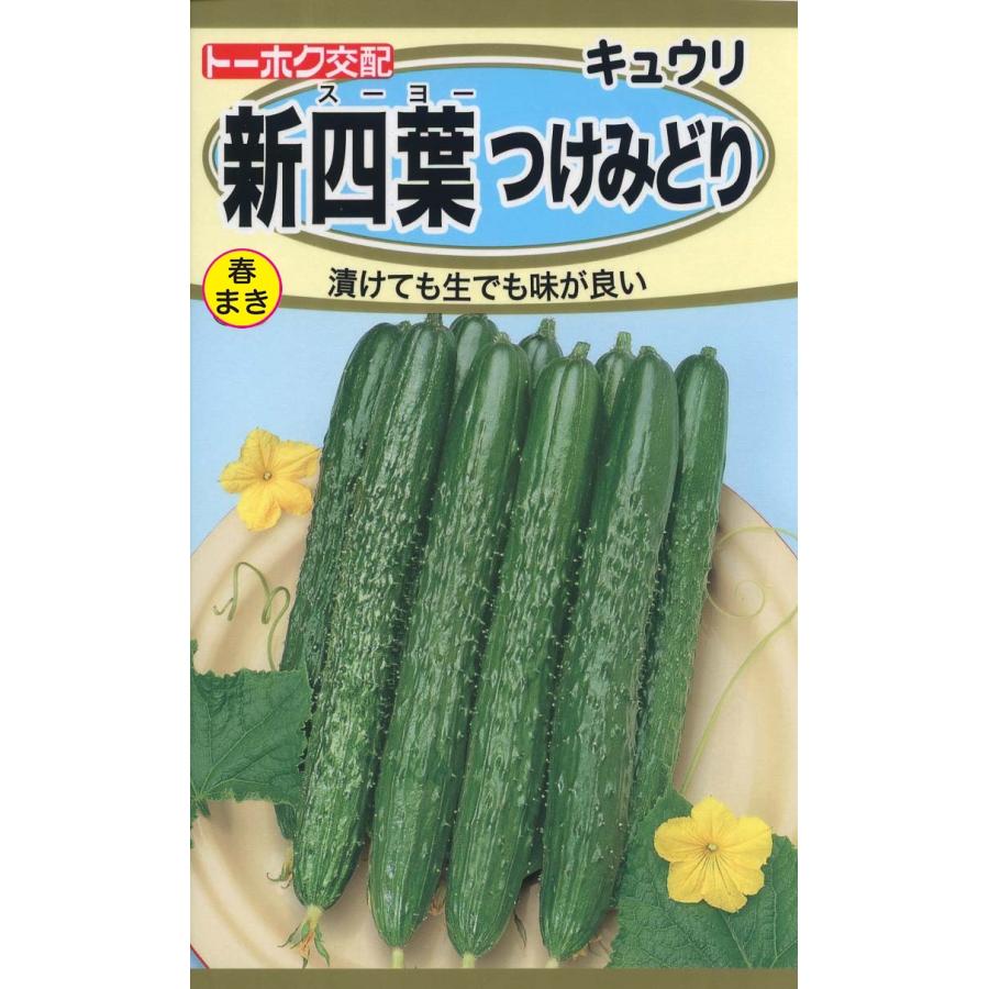 野菜の種 きゅうり 新四葉つけみどり 4袋まで送料73円 優良配送は