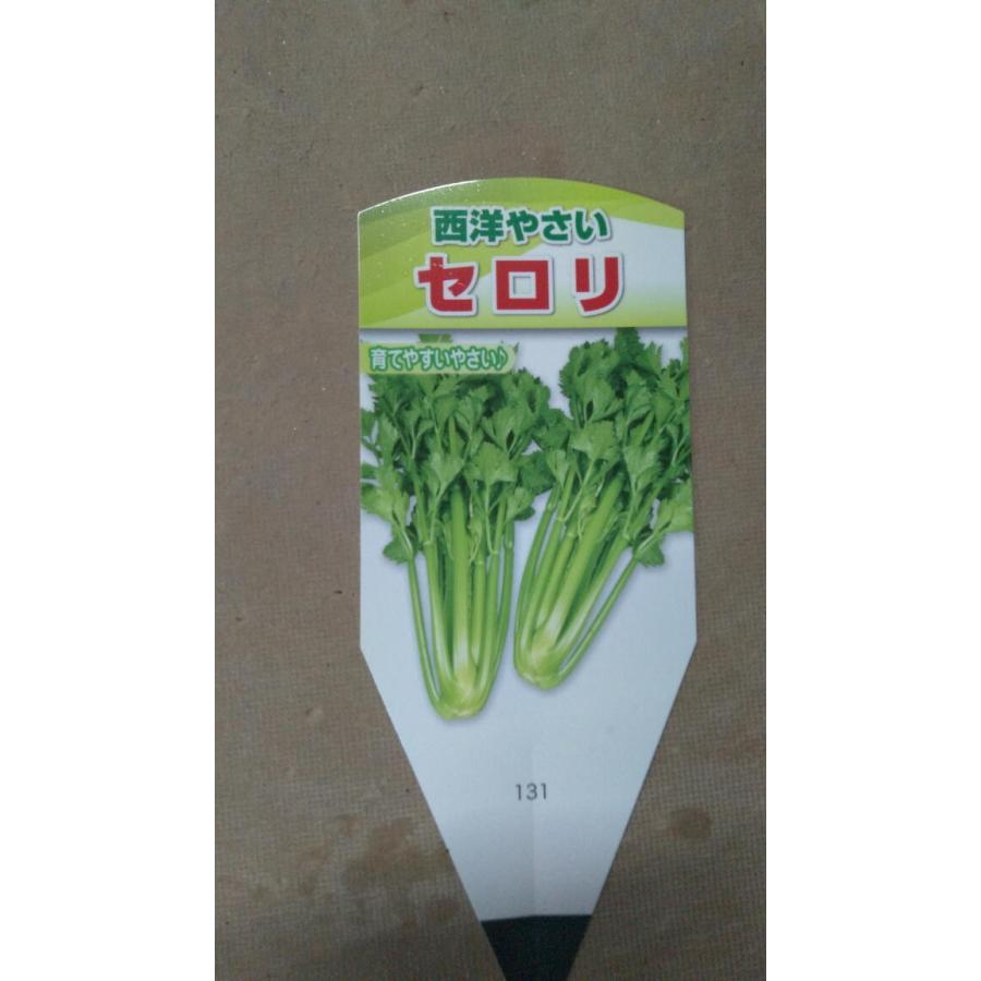 野菜苗 セロリ トップセラー セルリ 中井商店 やふー店 通販 Yahoo ショッピング