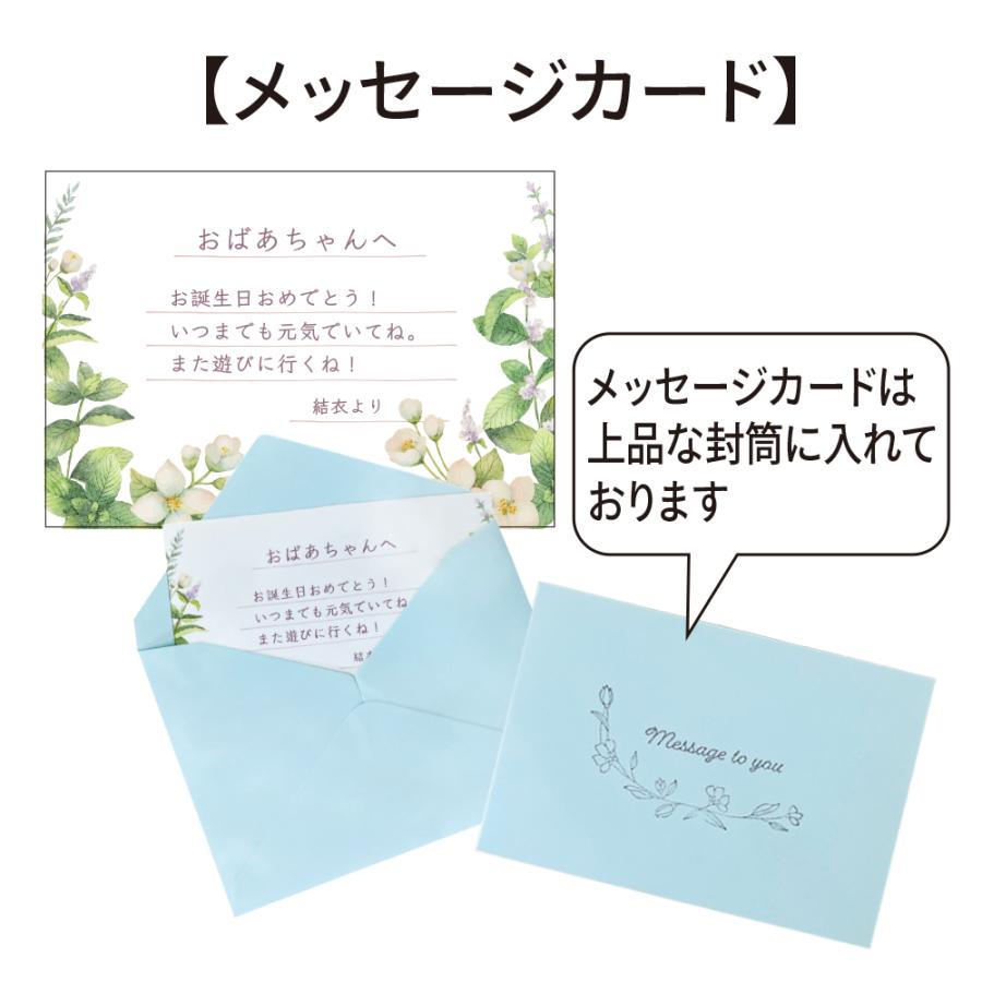 アガベ 観葉植物 チタノタ ブルー/オテロイ/ホリダ 3品種の中 アガベ 観葉植物 チタノタ ブルー/オテロイ/ホリダ 3品種の中