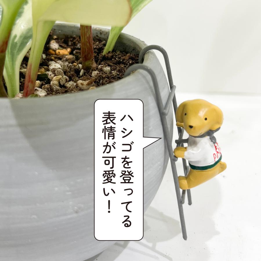 ガーデンピック ガーデニング 雑貨 オーナメント ガーデン カントリー