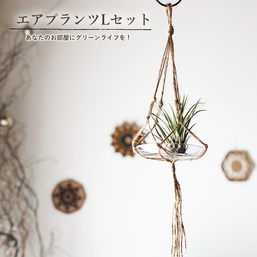 花のギフト社 エアプランツ ハンギングネット 皿付 吊り下げ 麻紐