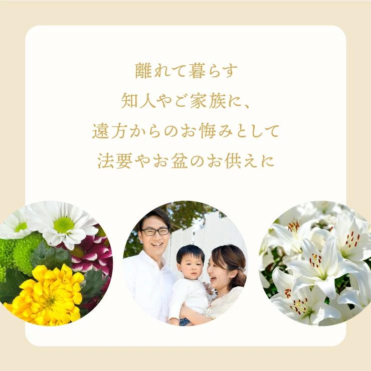 当日発送17時〆 お供え 花 お供え物 お菓子 お悔やみ アレンジメント お悔やみお花 生花 フラワーアレンジメント 命日 お彼岸 お盆 法事 法要 進物用 | 花のギフト社 | 17