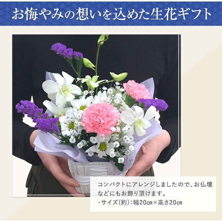 デンファレ 切り花（生花）の商品一覧 | 花、ガーデニング 通販 - Yahoo!ショッピング