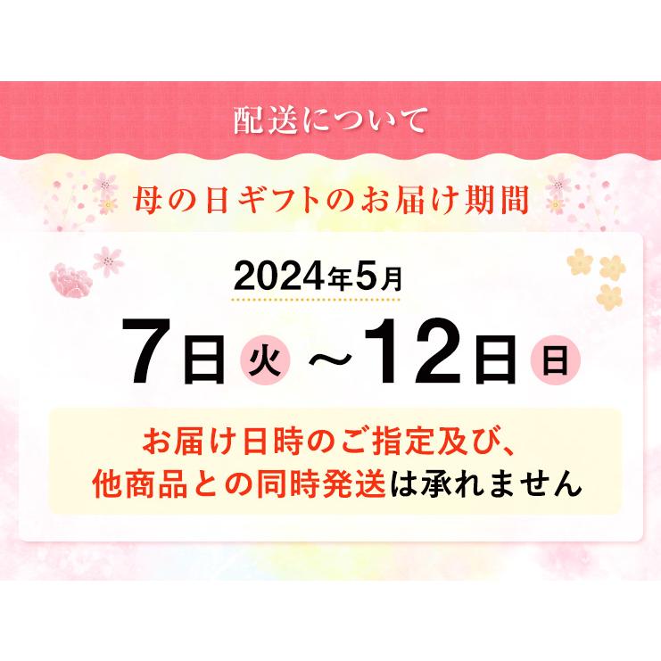 母の日 プレゼント 花 母の日ギフト 2024 ギフト カーネーション 鉢植え 花鉢 おしゃれ 5号 鉢 鉢植 お花 鉢花 ギフトランキング 5号鉢 60代 70代 80代｜hananogiftsya｜26