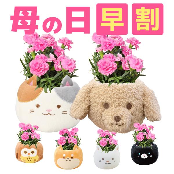 花のギフト社 母の日 花 プレゼント 母の日ギフト 2026 ギフト