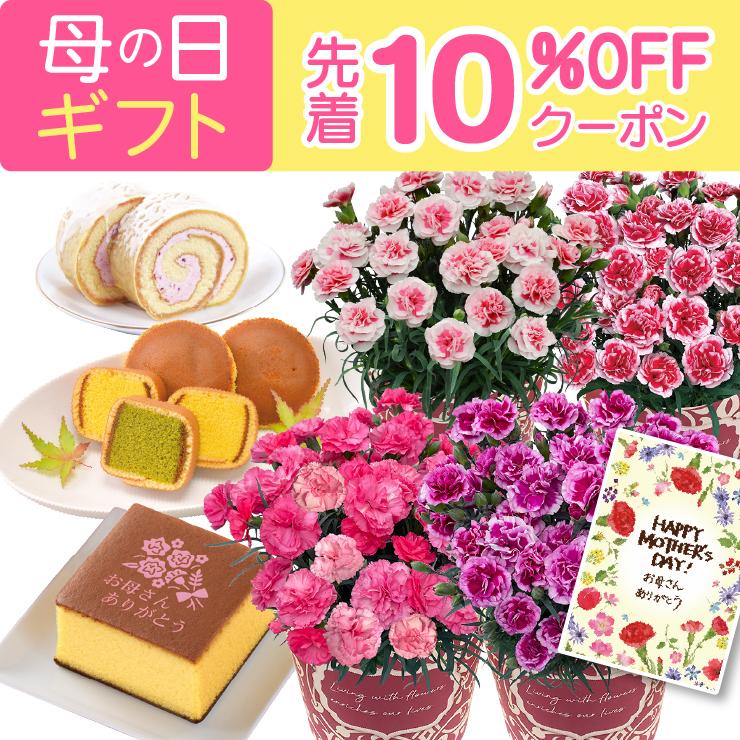花のギフト社 母の日 プレゼント 2026 花 ギフト カーネーション
