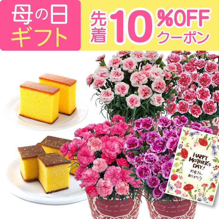花のギフト社 母の日 プレゼント 2026 花 ギフト カーネーション