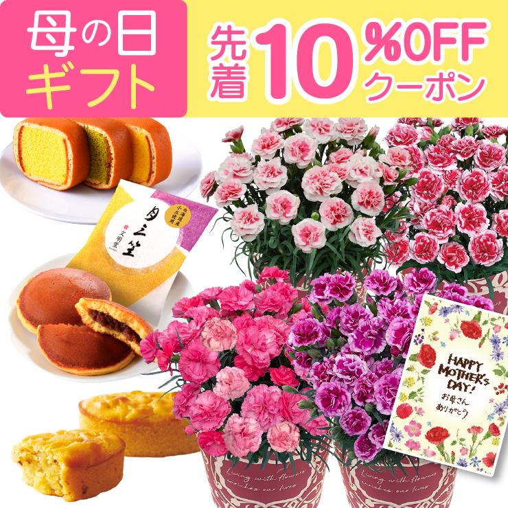 花のギフト社 母の日 プレゼント 2026 花 ギフト カーネーション