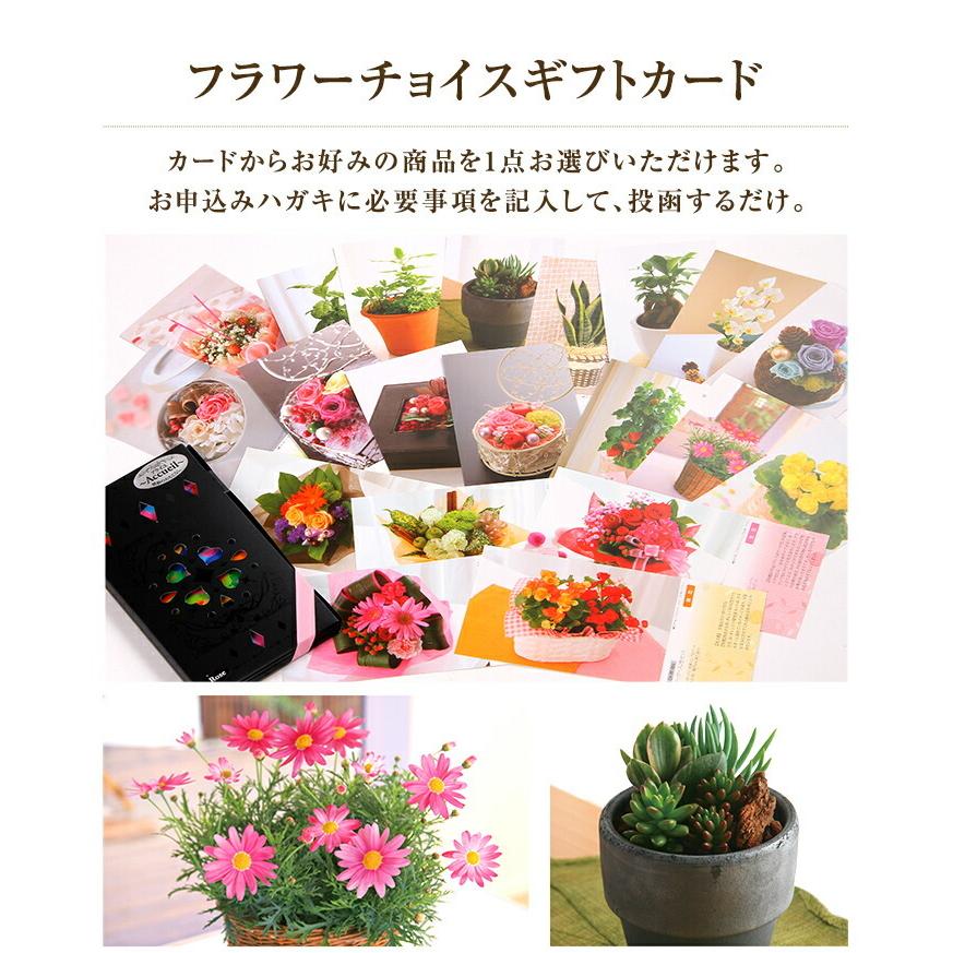 カタログギフト アクイユ ローズコース すみれコース 花 フラワー ギフト プレゼント 選べるギフト チョイスギフト チョイスカタログ Yh 花のギフト社onlineshop 通販 Yahoo ショッピング