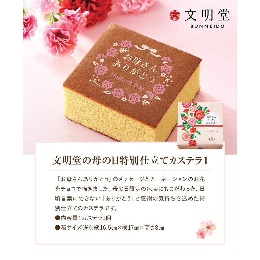 花のギフト社 母の日 プレゼント 2026 花 ギフト カーネーション