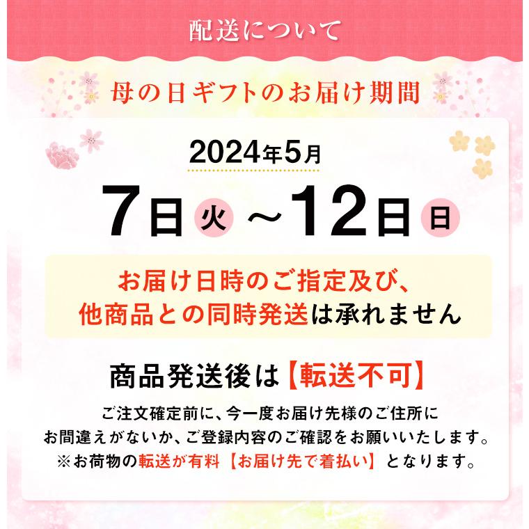 母の日 プレゼント 2024 花 ギフト カーネーション 鉢植え 花鉢 おしゃれ 6号 鉢 鉢植 お花 鉢花 ギフトランキング 6号鉢 60代 70代 80代｜hananogiftsya｜27