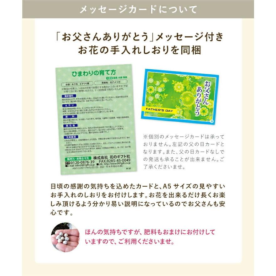 あすつく 父の日 ギフト プレゼント スイーツ 花 ひまわり 鉢植え 文明堂 カステラ巻き どら焼き 日光 カステラ 吉野の葛餅 梅酒 父の日プレゼント 鉢花 花鉢 Yh1210 花のギフト社onlineshop 通販 Yahoo ショッピング