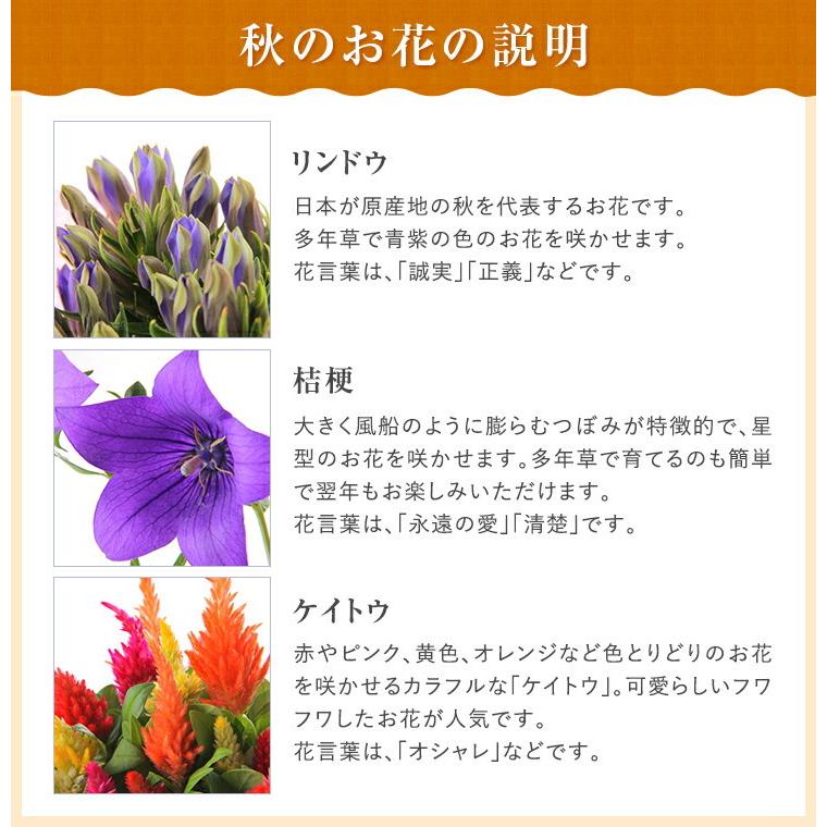 あすつく14時まで 敬老の日 花 ギフト 秋の3種寄せカゴ 選べるグルメ 文明堂 カステラ どら焼き 梅酒 鉢植え 花鉢 鉢花 東北 関西送料無料 フラワーギフト Yh1427 花のギフト社onlineshop 通販 Yahoo ショッピング