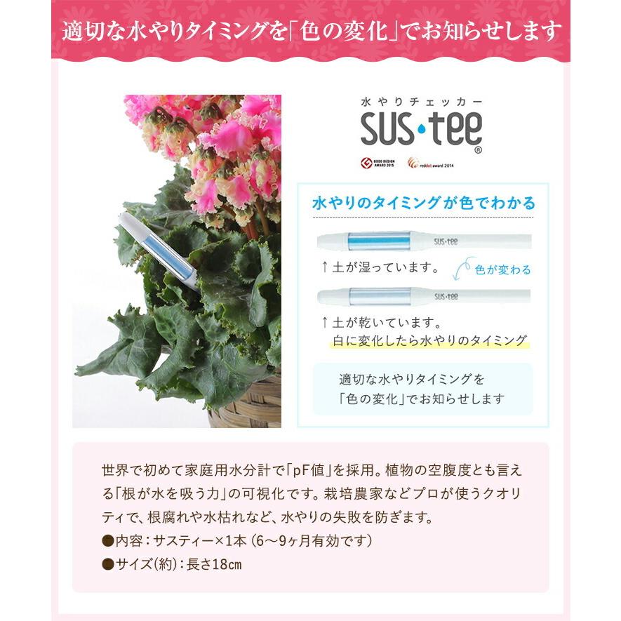 22秋冬新作 サスティー M Sustee 水やりチェッカー M サイズ ホワイト サスティ キャビノチェ 水やり 可視化 観葉植物 鉢花 花鉢 花 鉢植え 園芸用品 Wantannas Go Id