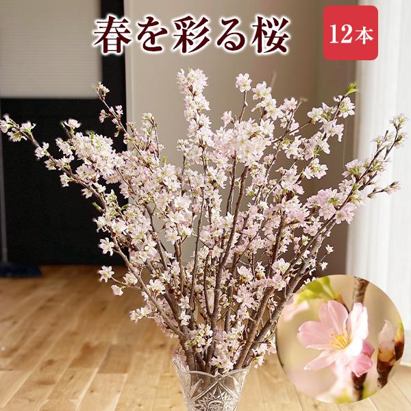 啓翁桜 さくら 桜 12本 花束 切花 生花 サクラ 花 桜のお花 正月桜 迎春 正月 プレゼント フラワーギフト 誕生日 お花見 送別会 お歳暮 Al完売しました 山形 お正月 お祝い