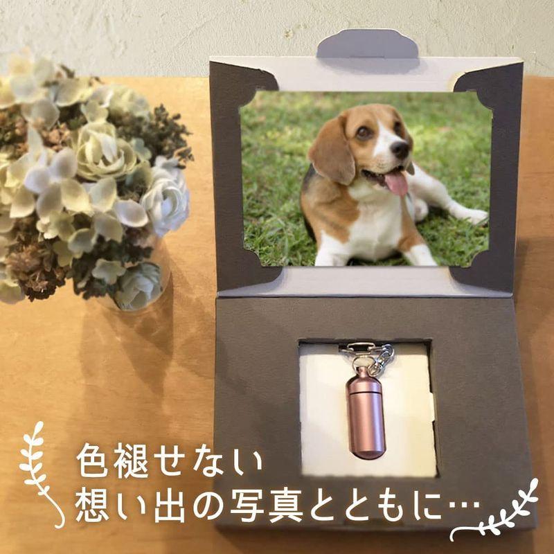保障遺骨キーホルダー ペット メモリアル ペットロスカプセル Mサイズ ゴールド ペットロスキーホルダー メモリアルフォトボックス付 二重構造で メモリアル用品作成グッズ 遺骨キーホルダー ペット メモリアル ペットロスカプセル Mサイズ (S, ゴールド)