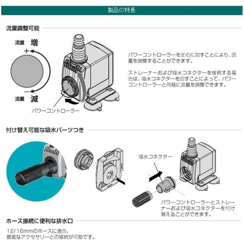 エーハイム コンパクトオン300NEW (60Hz・西日本地域用)｜hananooo｜06