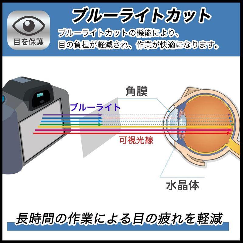 FILMEXT フィルム SONY HDR-CX680 用 保護フィルム ブルーライトカット 反射低減 日本製｜hananooo｜06