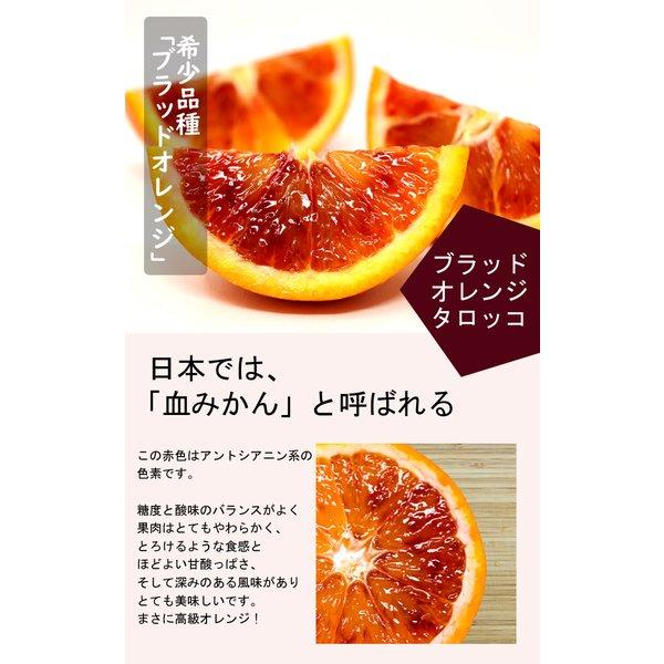 オレンジ 苗木 ブラッドオレンジ タロッコ 15ｃｍポット 接木 柑橘 柑橘苗 血みかん orange 自家結実性 ガーデニング 園芸 送料無料 2年生苗｜hananoyamato-online｜02