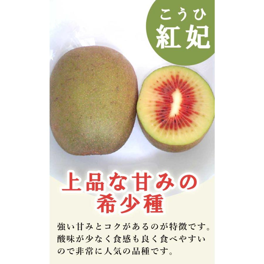 赤キウイフルーツ苗木セット 楽天市場】キウイ 苗木セット 【レインボーレッド】 赤系メス 1