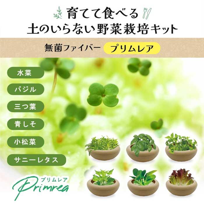 花の大和 プリムレア 野菜 栽培キット 4号鉢 全6品種 浅鉢 土いらず 手