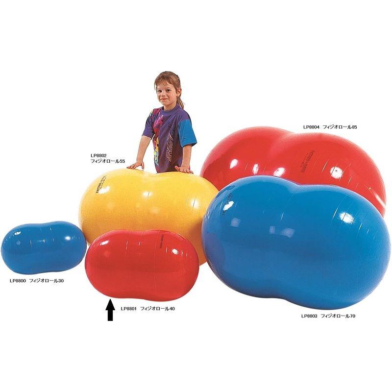 ギムニク(GYMNIC) フィジオロール 85 赤 LP8804 イタリア製 GYMNIC フィジオロール 赤 LP8804 イタリア製