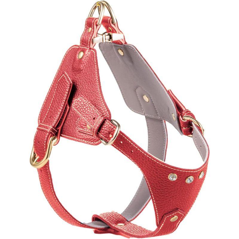 超特盛ミラクルプライス Now&Fountain ボディベルト Aタイプ ナチュラルスキン 本革 ハーネス フレンチブルドッグ ボストンテリア 犬用 日本製 オシャ 【J2580498734】(13024円)