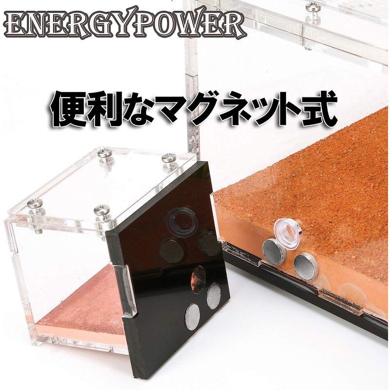 2026年 ハイグレードEnergyPower モルタル製アリ巣箱 平面タイプ 蟻活動スペース/給水器/エサ場付き 土やゲルを使用しないので腐らず清潔 【Z2469101903】(12462円)
