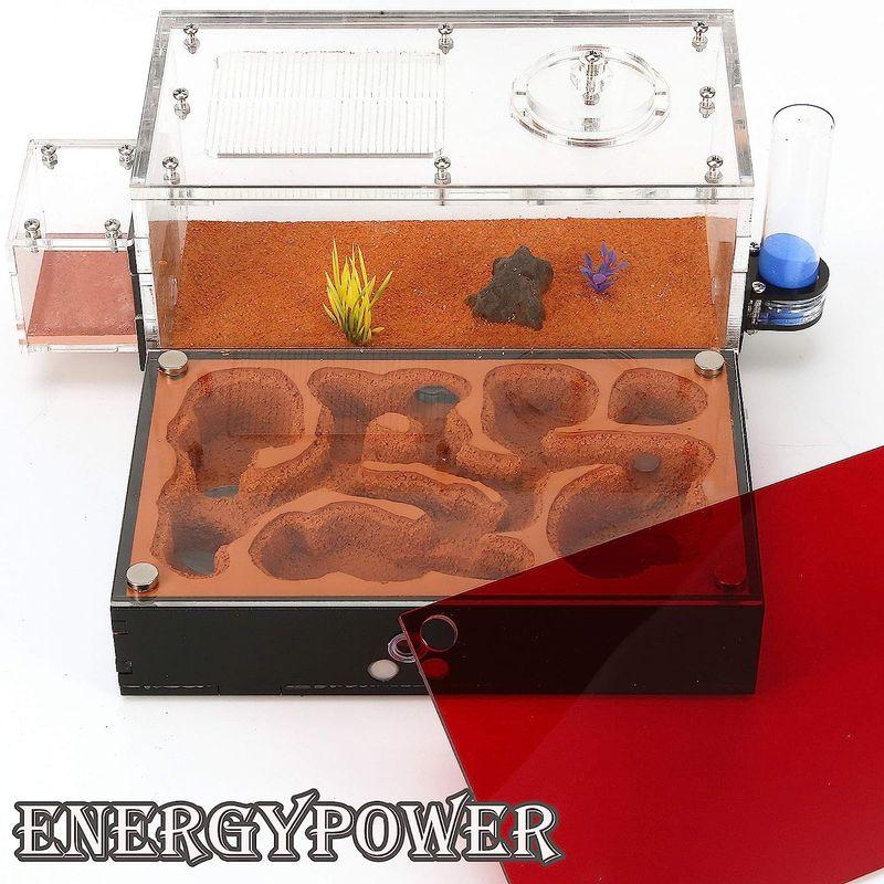 2026年 ハイグレードEnergyPower モルタル製アリ巣箱 平面タイプ 蟻活動スペース/給水器/エサ場付き 土やゲルを使用しないので腐らず清潔 【Z2469101903】(12462円)