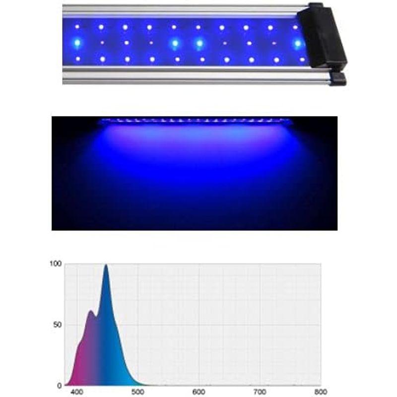 ボルクスジャパン GｒａｓｓｙFｌａｔ 60 Dｅｅｐ /60ディープ GｒａｓｓｙFｌａｔ Dｅｅｐ /60ディープ