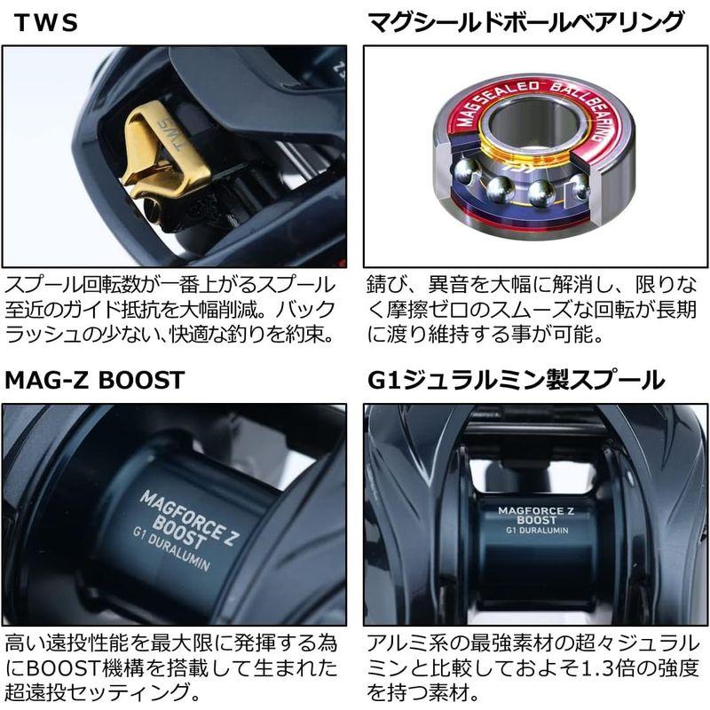 数量限定 ダイワ(DAIWA) ベイトキャスティングリール スティーズ A TW HLC 8.1L 【HO8638993120】(30504円)