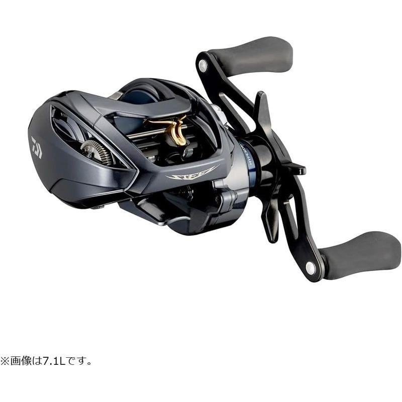 数量限定 ダイワ(DAIWA) ベイトキャスティングリール スティーズ A TW HLC 8.1L 【HO8638993120】(30504円)