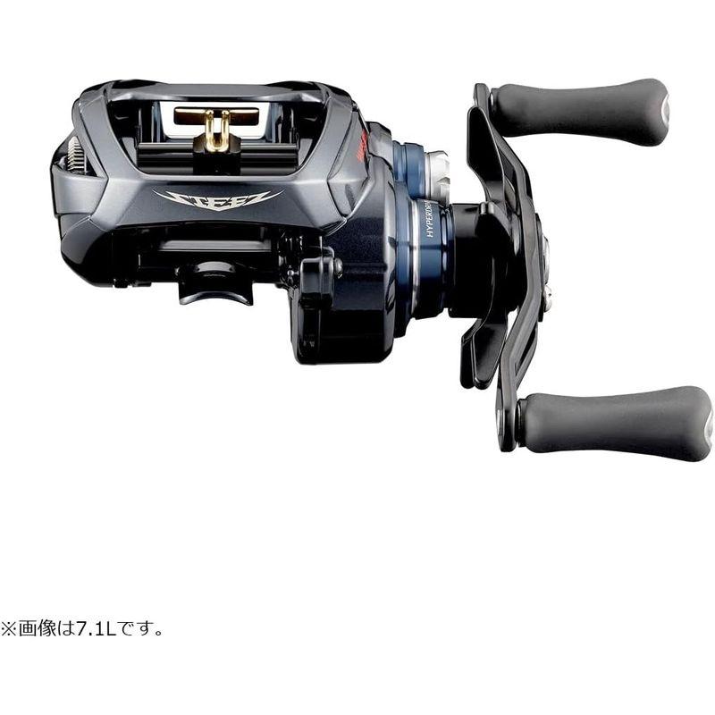 数量限定 ダイワ(DAIWA) ベイトキャスティングリール スティーズ A TW HLC 8.1L 【HO8638993120】(30504円)