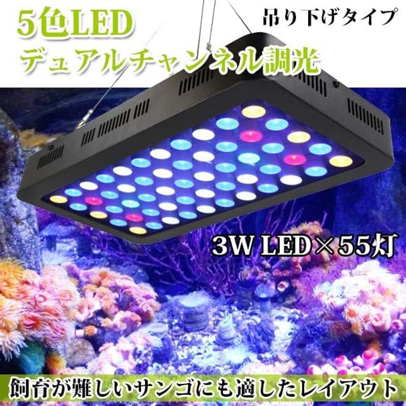 Wellvie LED 水槽照明 海水魚 サンゴ水槽 水草 アクアリウムライト 青 赤 白 緑 高輝度 ACケーブル （1SET/165W） LED 水槽照明 海水魚 サンゴ水槽 水草 アクアリウムライト 青 赤 白 緑 高輝度 ACケーブル 1SET/165W