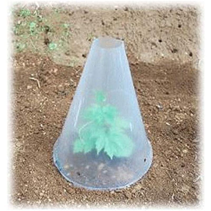 株式会社アカサカ 苗カバー 2号 トンガリ型 針金脚 2本付 25cm 200個 25cm 苗カバー 2号 トンガリ型 針金脚 2本付 200個