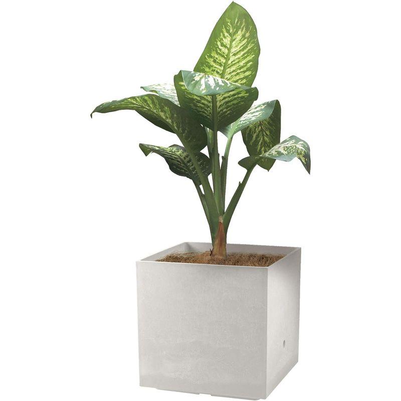 リッチェル 大型プランター 陶器風 ホワイト 45×45×45cm ラヴィーレWS キューブ 45型 底面給水機能付き 709002 大型プランター 陶器風 ホワイト 45×45×45cm ラヴィーレWS キューブ 45型 底面給水機能付き