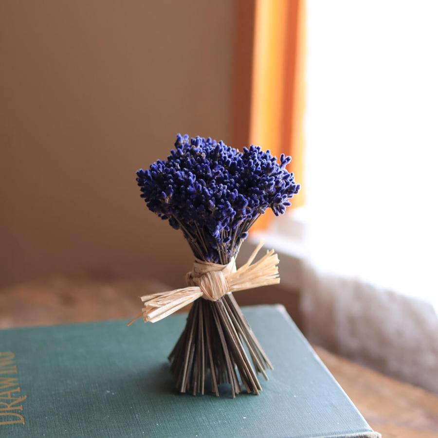 【 数量限定 】 富良野ラベンダースタンドブーケ ミニ (濃紫3号) / ドライフラワー（Yahoo!・富良野・花七曜）