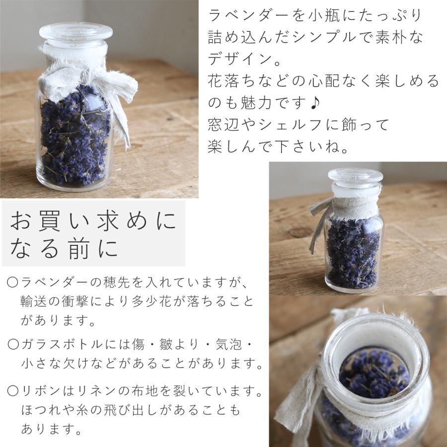 富良野ラベンダーボトル ミニ ＊ ガラスボトルアレンジ / ドライ