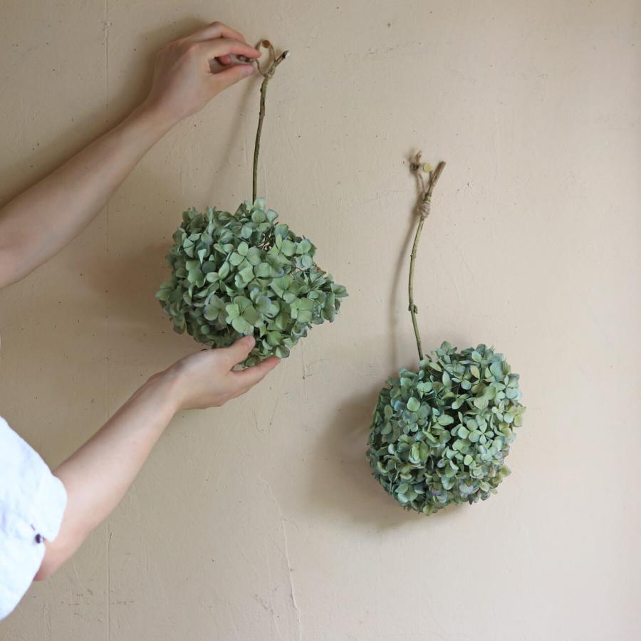 あじさい枝付き ブルー・グリーン系 ドライフラワー 【 Lサイズ