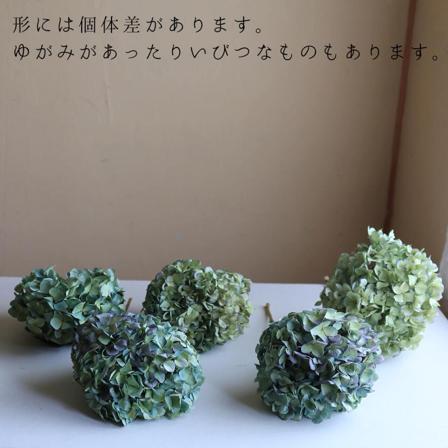 あじさい枝付き ブルー・グリーン系 ドライフラワー 【 Lサイズ