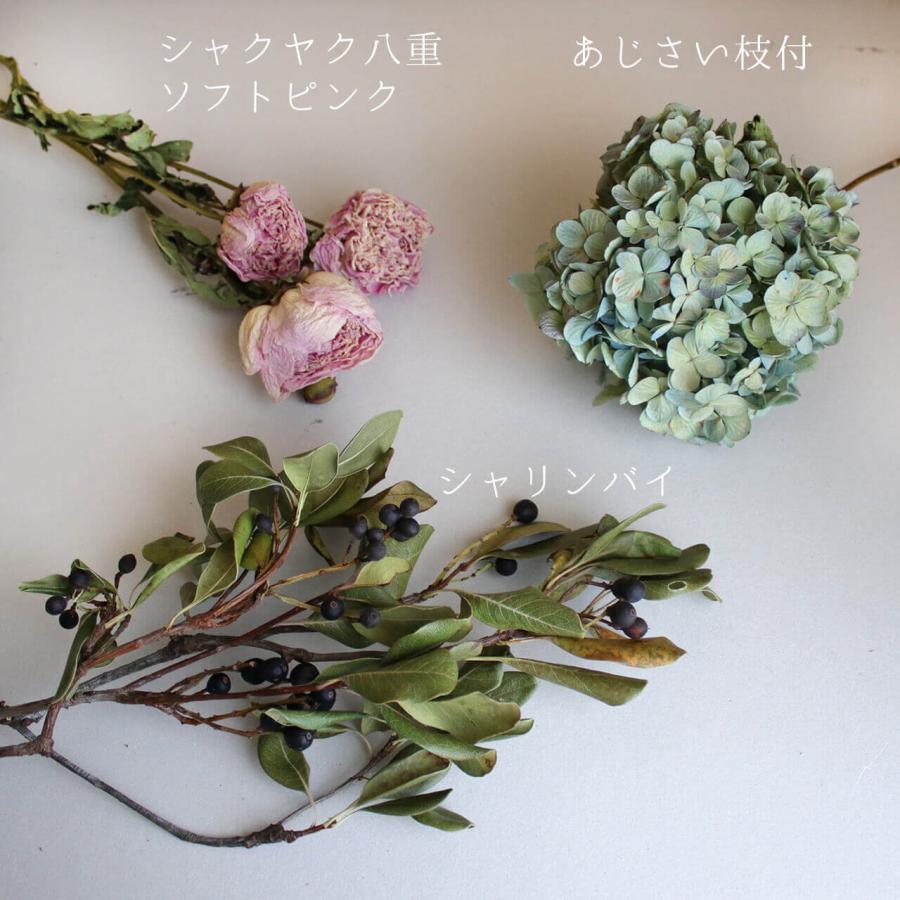 あじさい枝付き ブルー・グリーン系 ドライフラワー 【 Sサイズ