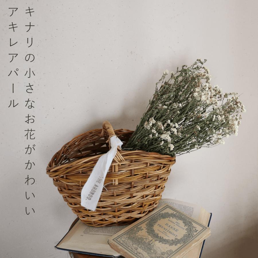 ドライフラワー 花材 アキレアパール ＊ 北海道産 キナリ ホワイト系